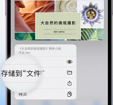 滨湖apple维修中心分享iPhone文件应用中存储和找到下载文件