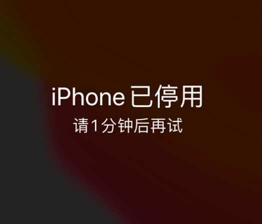 滨湖苹果手机维修分享:iPhone 显示“不可用”或“已停用”怎么办？还能保留数据吗？ 