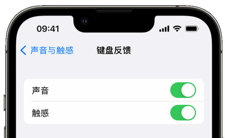 滨湖苹果手机维修分享iPhone 14触感键盘使用方法 