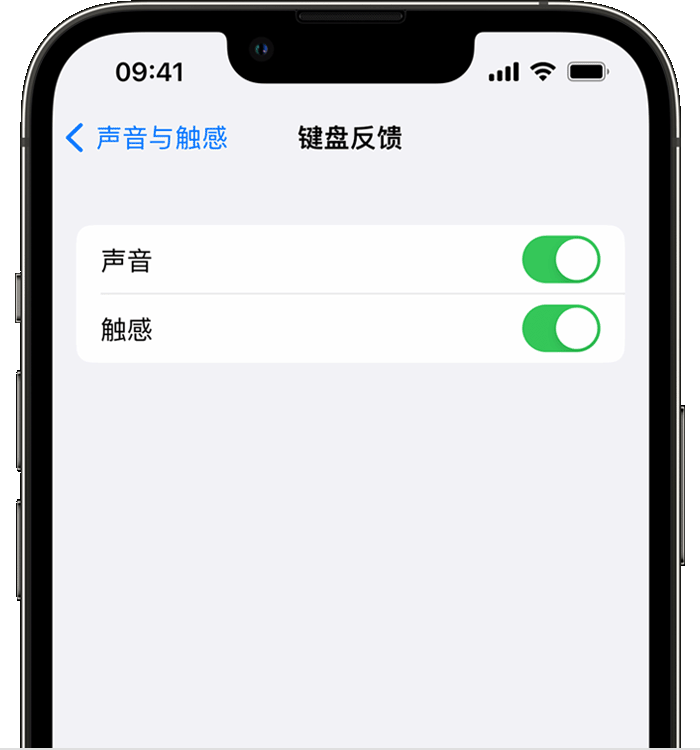 滨湖苹果14维修店分享如何在 iPhone 14 机型中使用触感键盘 