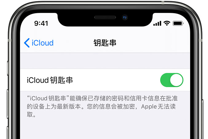 滨湖苹果手机维修分享在 iPhone 上开启 iCloud 钥匙串之后会储存哪些信息 